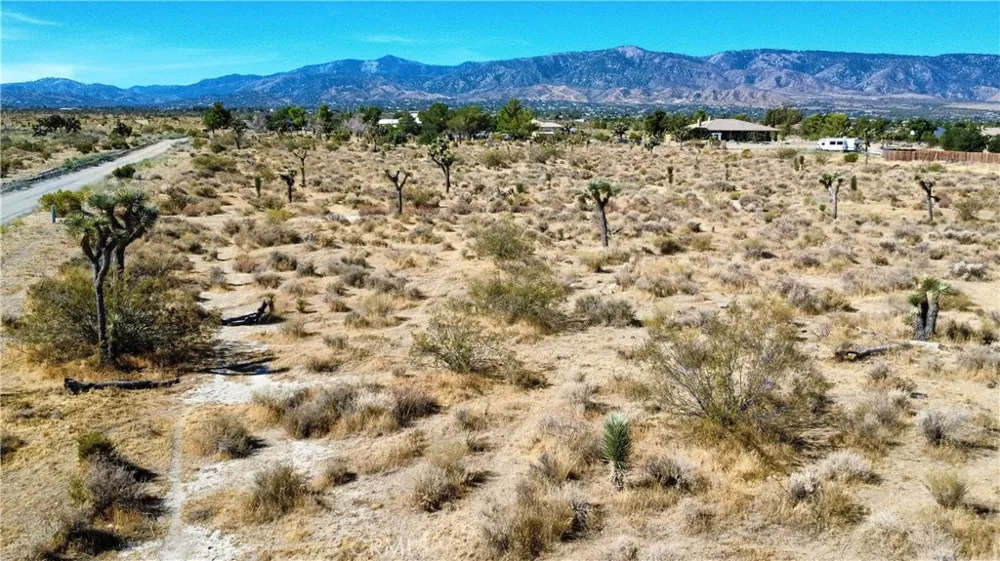 1 Evergreen Road Pinon Hills, CA 92372