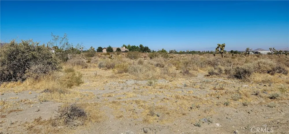 1 Evergreen Road Pinon Hills, CA 92372