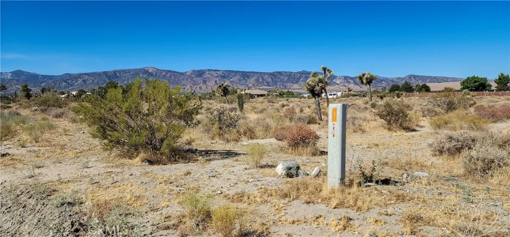 1 Evergreen Road Pinon Hills, CA 92372