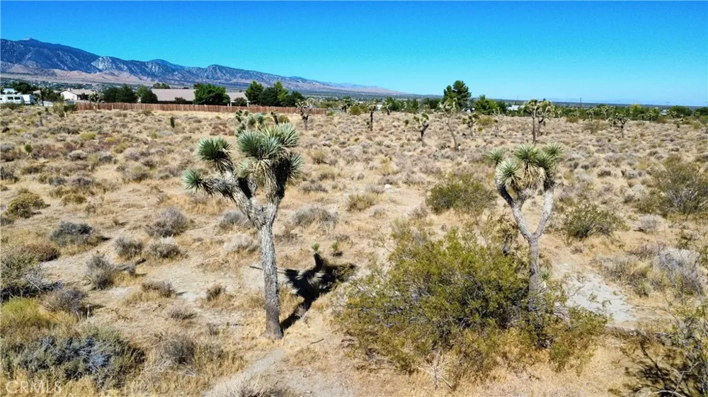 1 Evergreen Road Pinon Hills, CA 92372