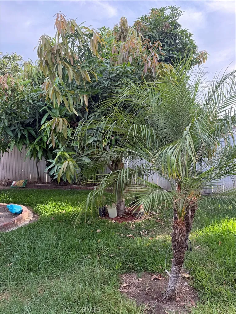 3329 Big Dalton Baldwin Park, CA 91706