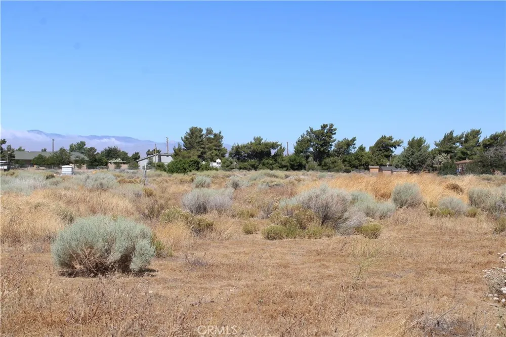 13464 Fir Oak Hills, CA 92344