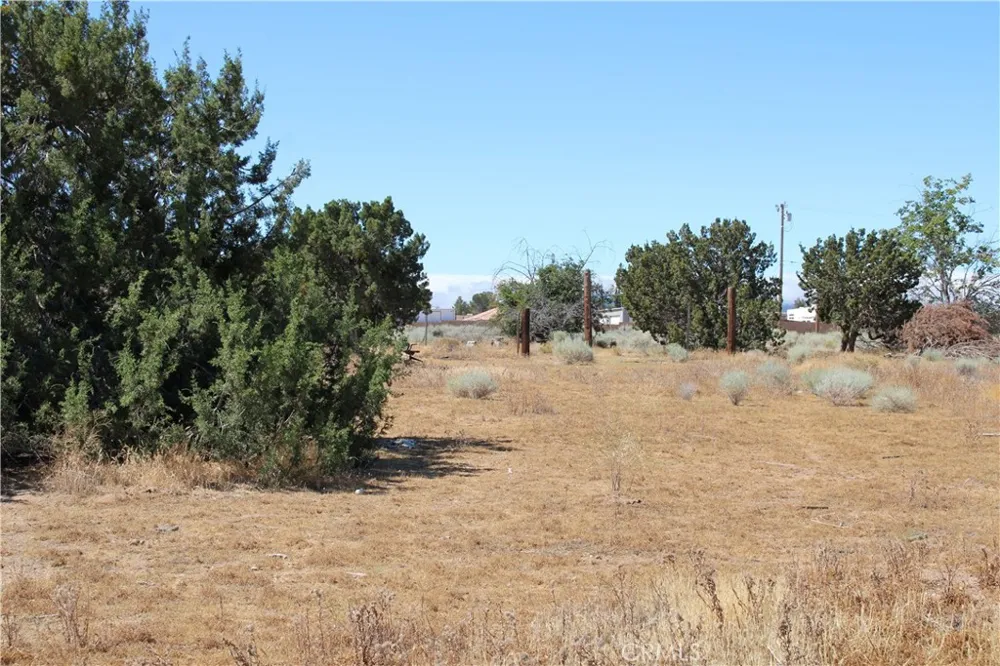 13464 Fir Oak Hills, CA 92344