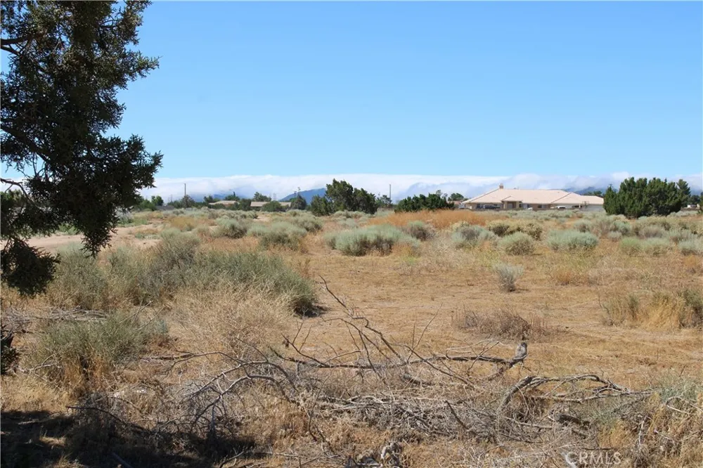 13464 Fir Oak Hills, CA 92344