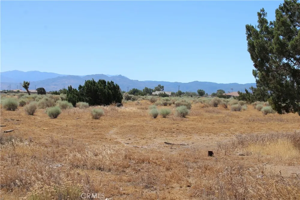 13464 Fir Oak Hills, CA 92344