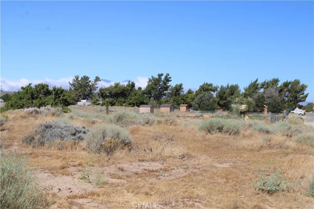 13464 Fir Oak Hills, CA 92344