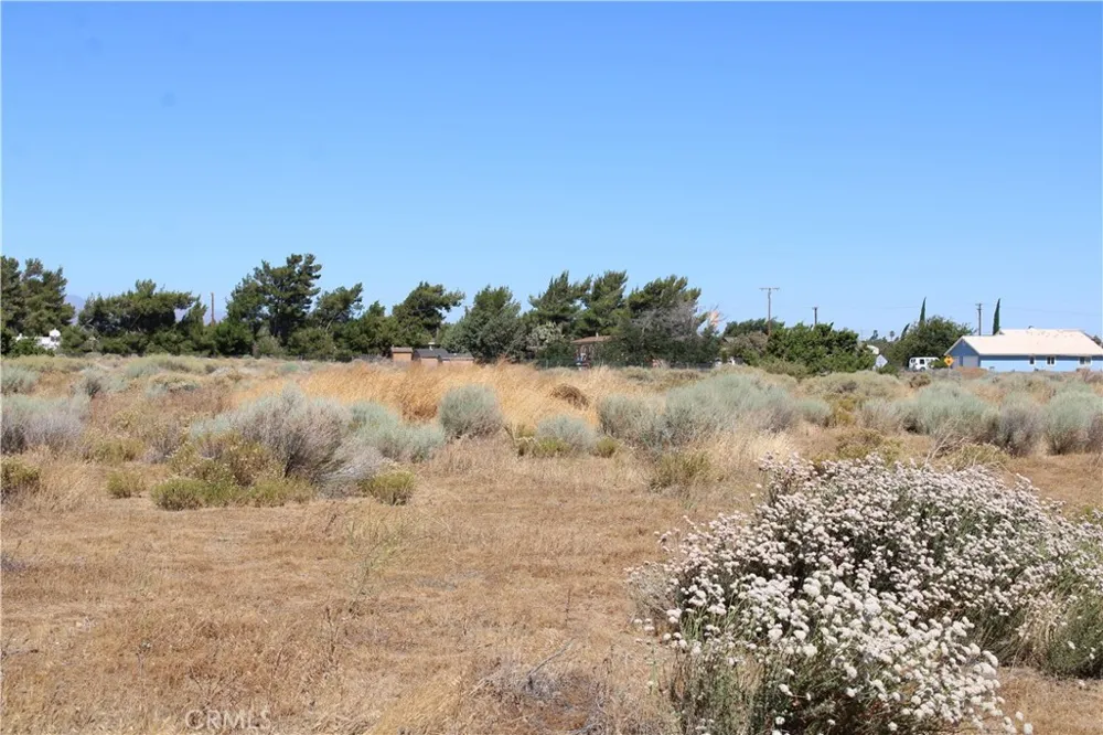 13464 Fir Oak Hills, CA 92344