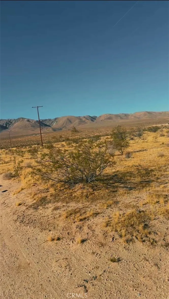 1 Joshua Lucerne Valley, CA 92356