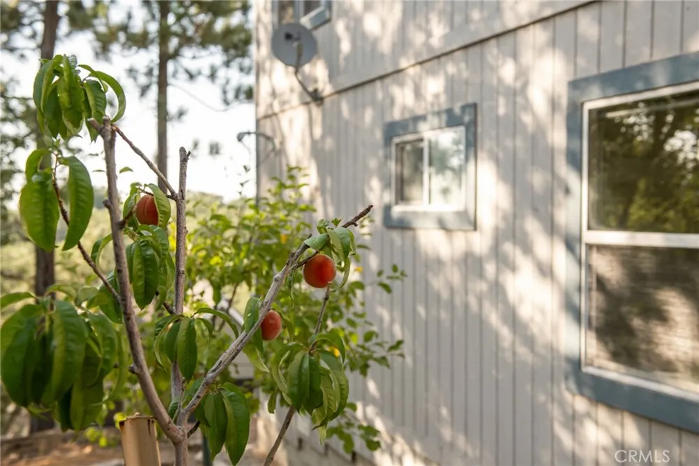 1477 Sequoia Drive Lake Arrowhead, CA 92352