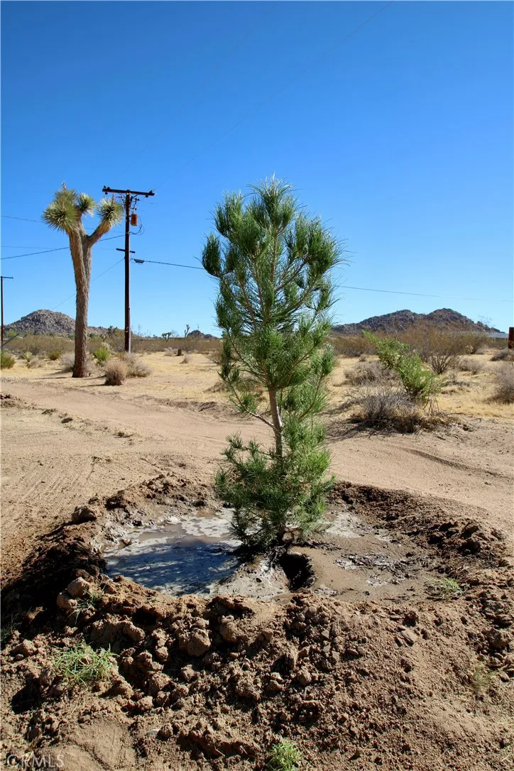 63350 Quail Springs Road Joshua Tree, CA 92252