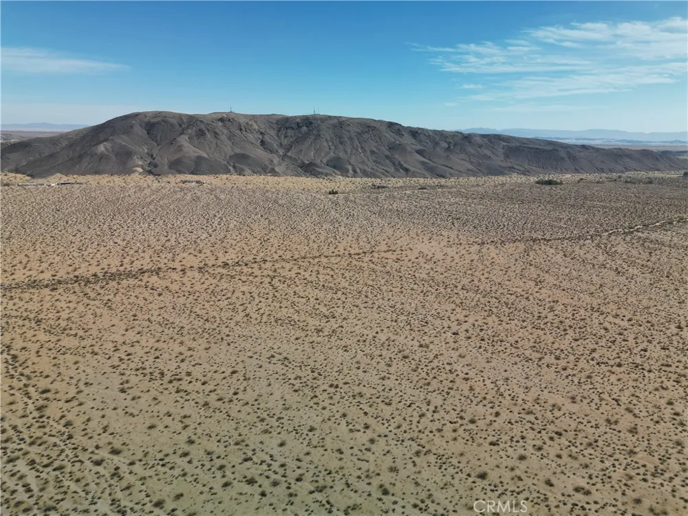 Rotary Joshua Tree, CA 92252