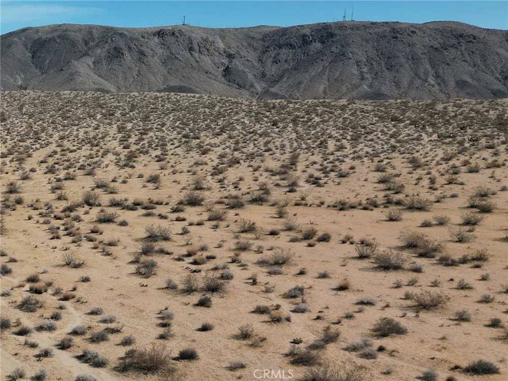 Rotary Joshua Tree, CA 92252