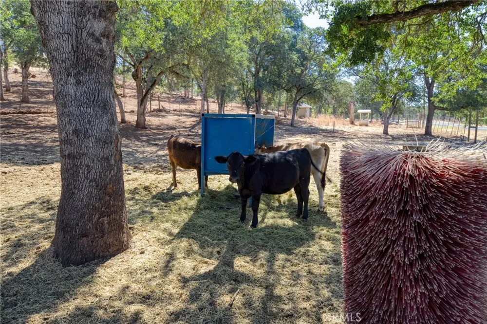 20766 Yankee Valley Hidden Valley Lake, CA 95467