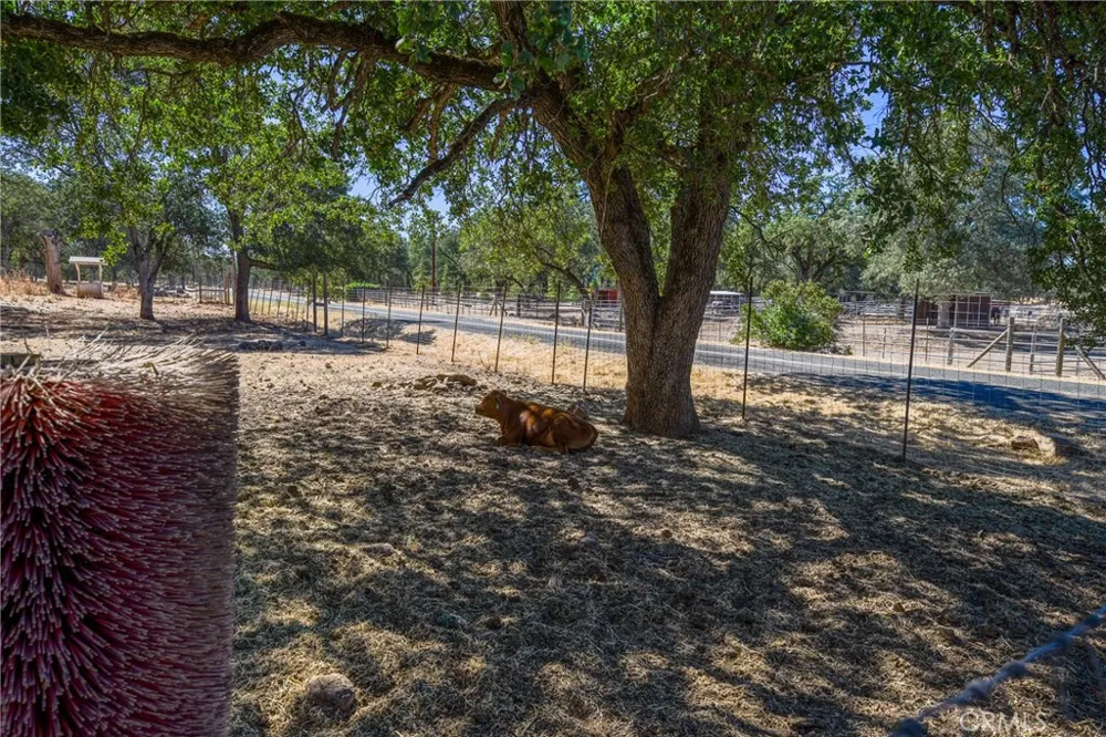 20766 Yankee Valley Hidden Valley Lake, CA 95467