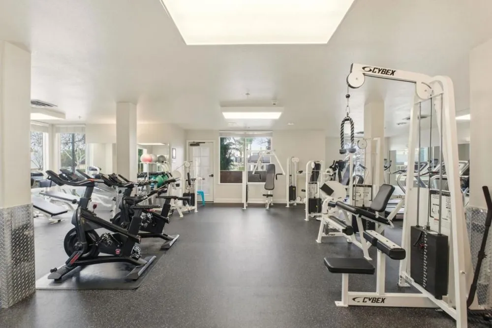 801 S Winchester Boulevard #1304 San Jose, CA 95128