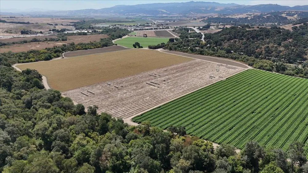 10 Chittenden Road San Juan Bautista, CA 95045