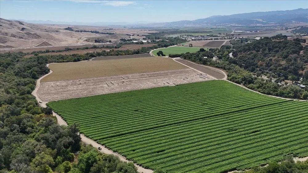 10 Chittenden Road San Juan Bautista, CA 95045