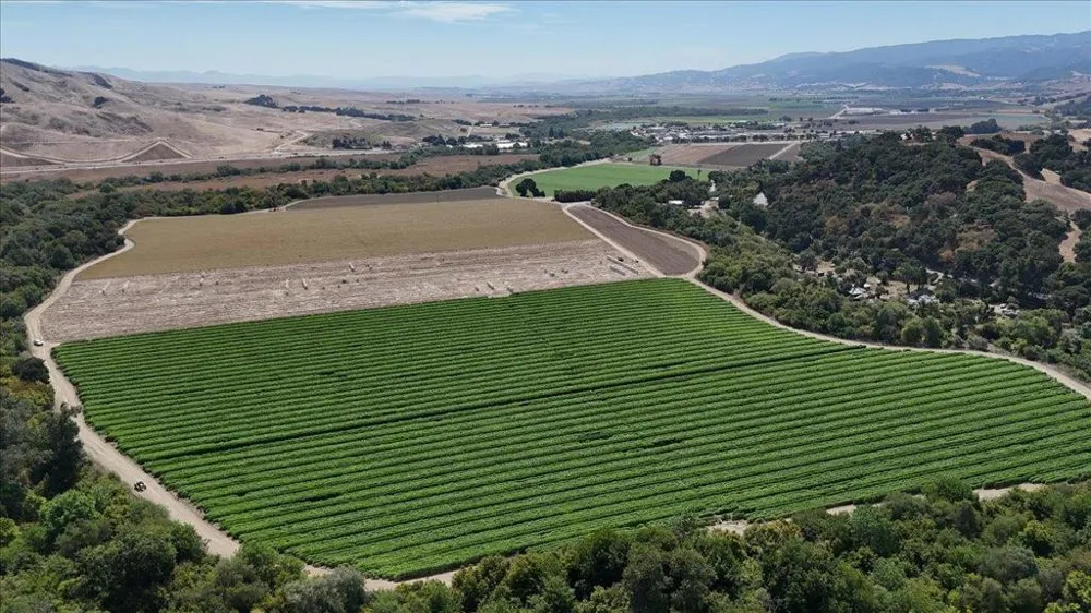 10 Chittenden Road San Juan Bautista, CA 95045