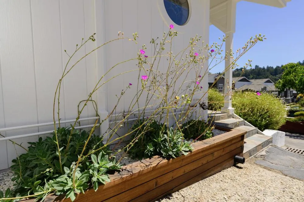 31 Dunslee Way Scotts Valley, CA 95066