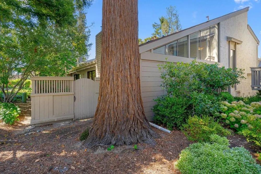 19626 Vineyard Lane Saratoga, CA 95070