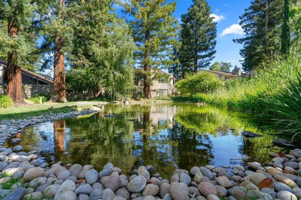 19626 Vineyard Lane Saratoga, CA 95070