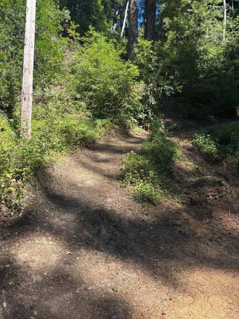 15645 Stetson Road Los Gatos, CA 95033