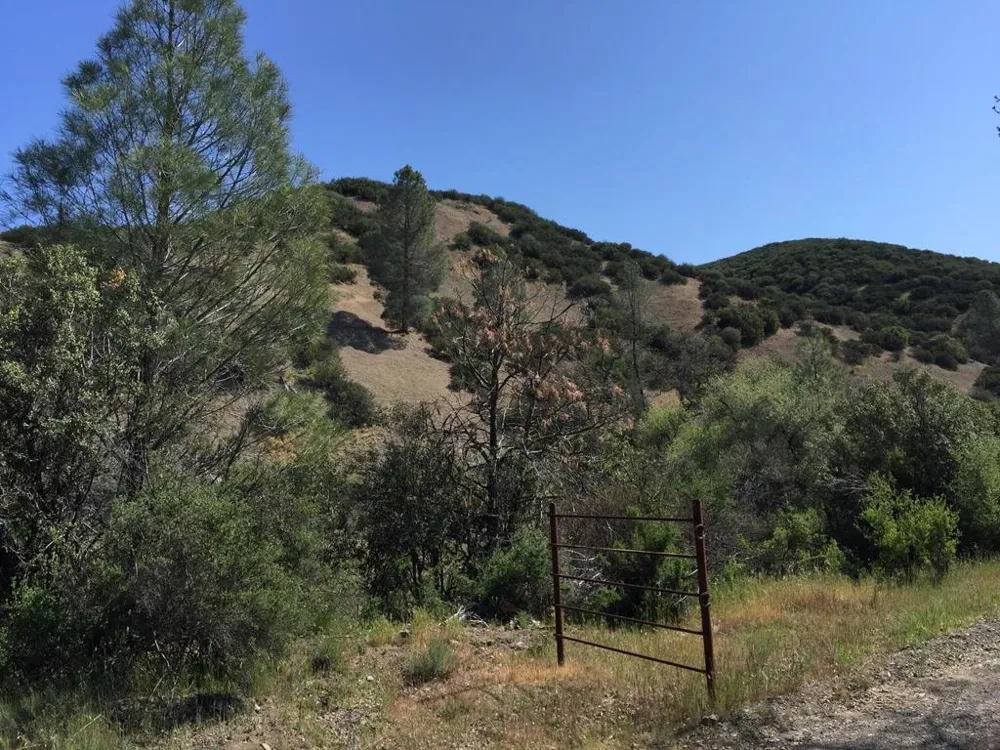 San Antonio Road San Jose, CA 95140
