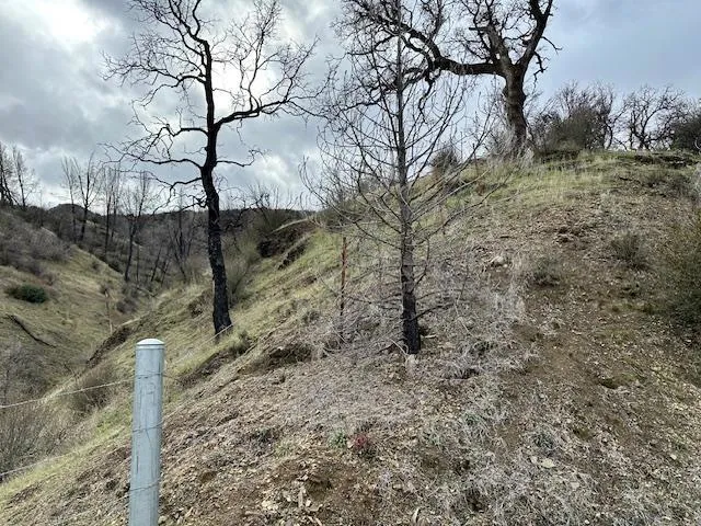 San Antonio Road San Jose, CA 95140