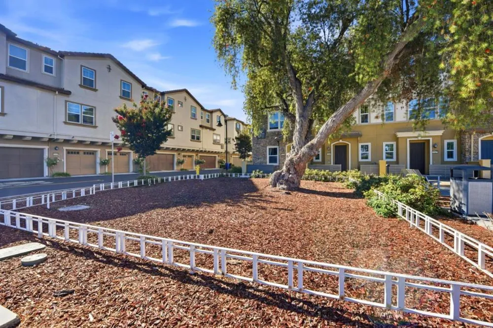 3146 Blanco Terrace Fremont, CA 94536