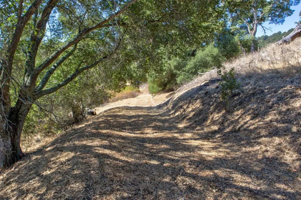 8272 Sassafras Court Pleasanton, CA 94566