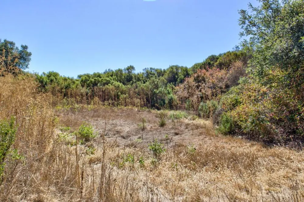 8272 Sassafras Court Pleasanton, CA 94566