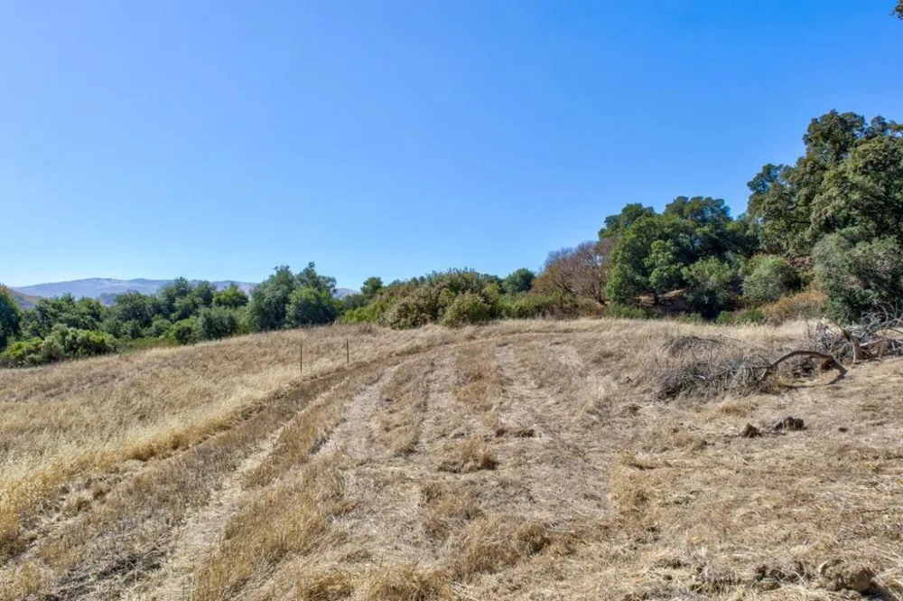 8272 Sassafras Court Pleasanton, CA 94566