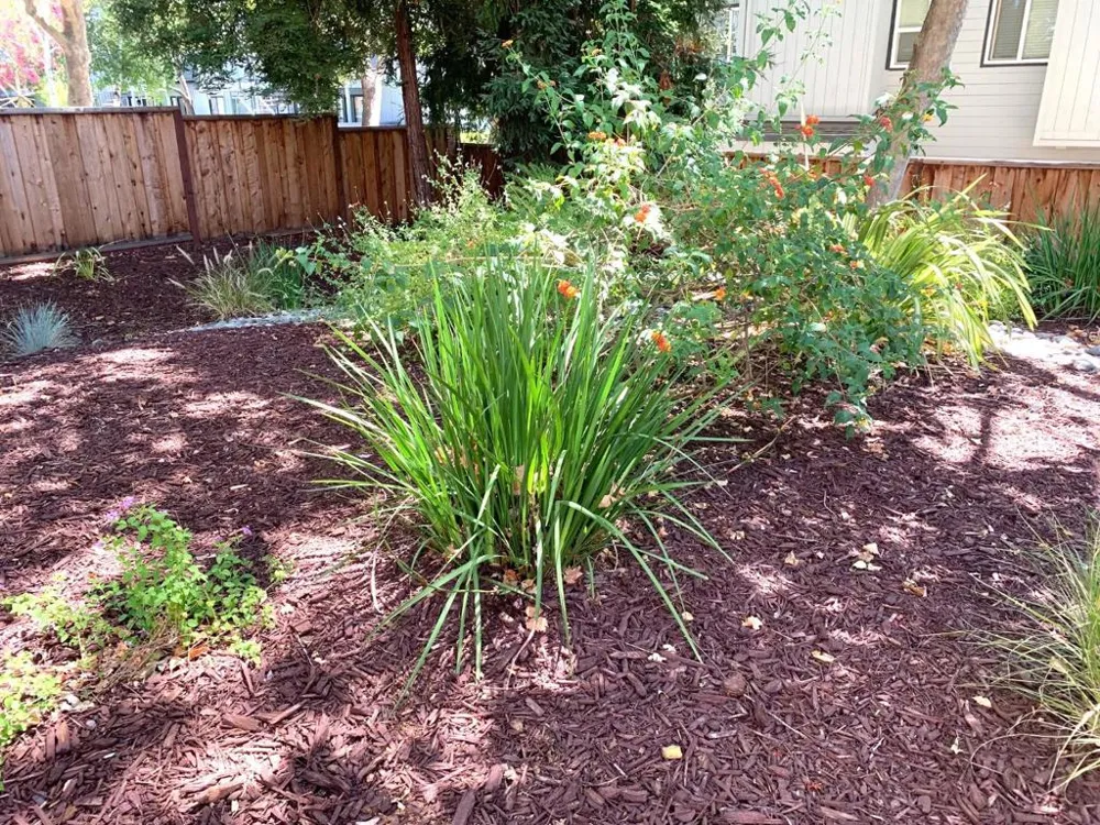 1672 Branham Park Place San Jose, CA 95118