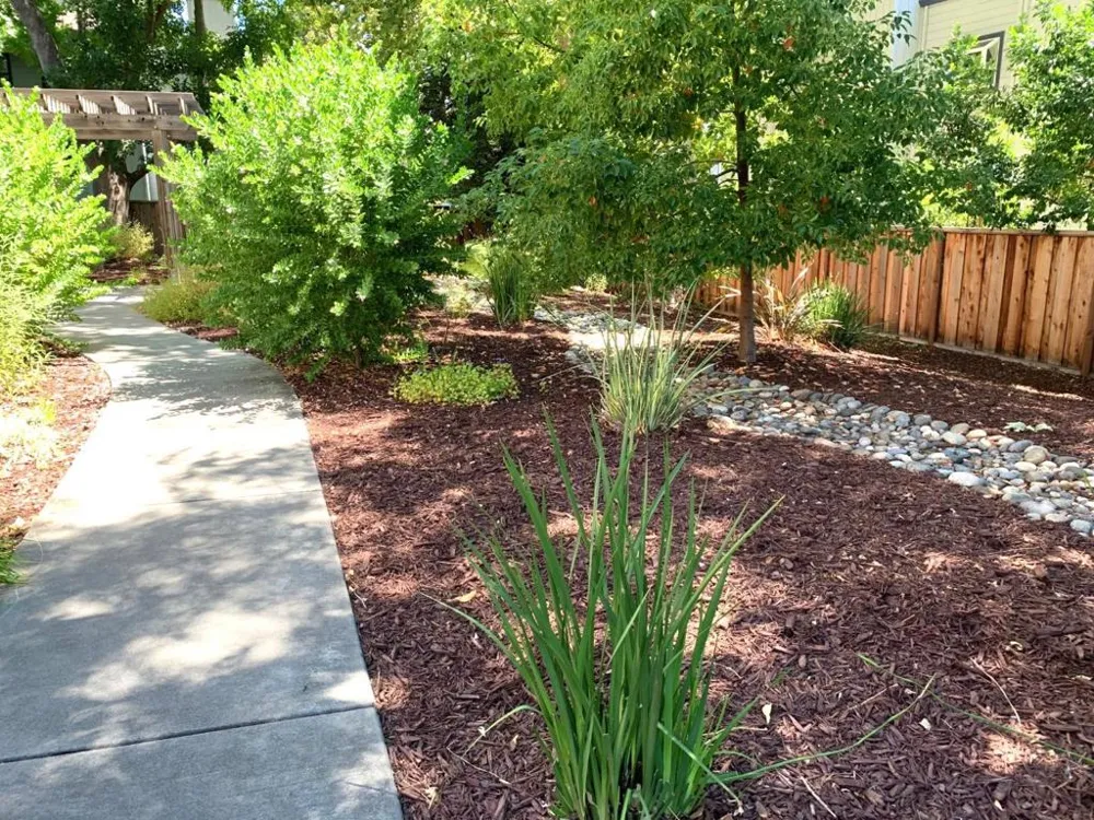 1672 Branham Park Place San Jose, CA 95118