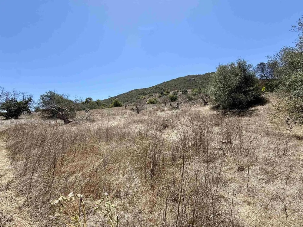 9927 Modrigan Lane Fallbrook, CA 92028