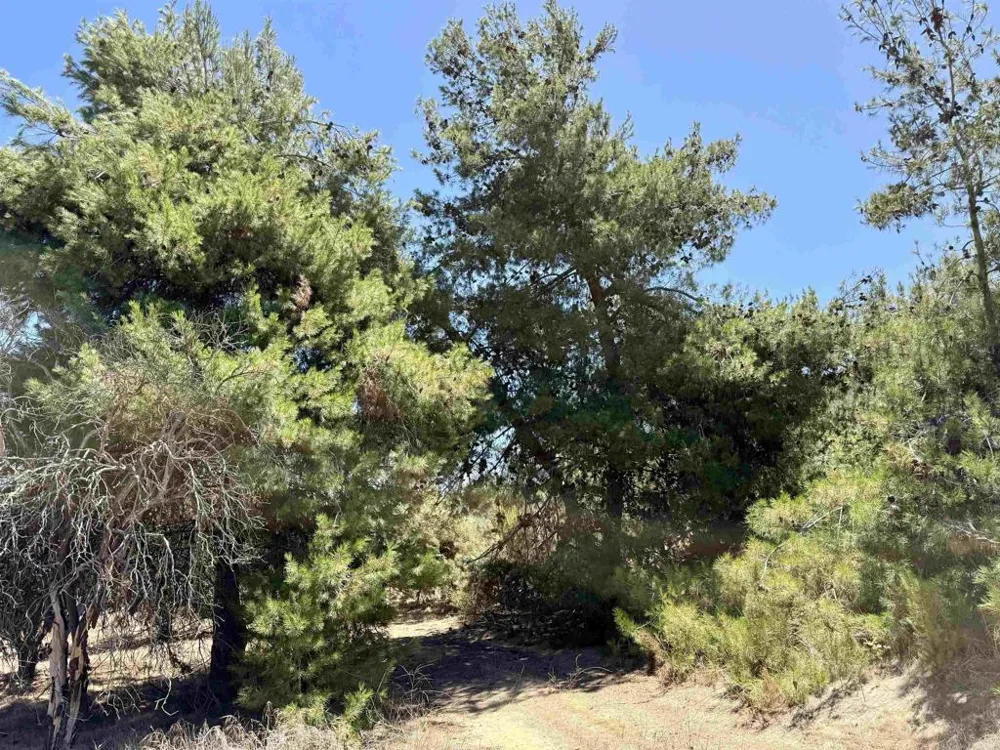 9927 Modrigan Lane Fallbrook, CA 92028