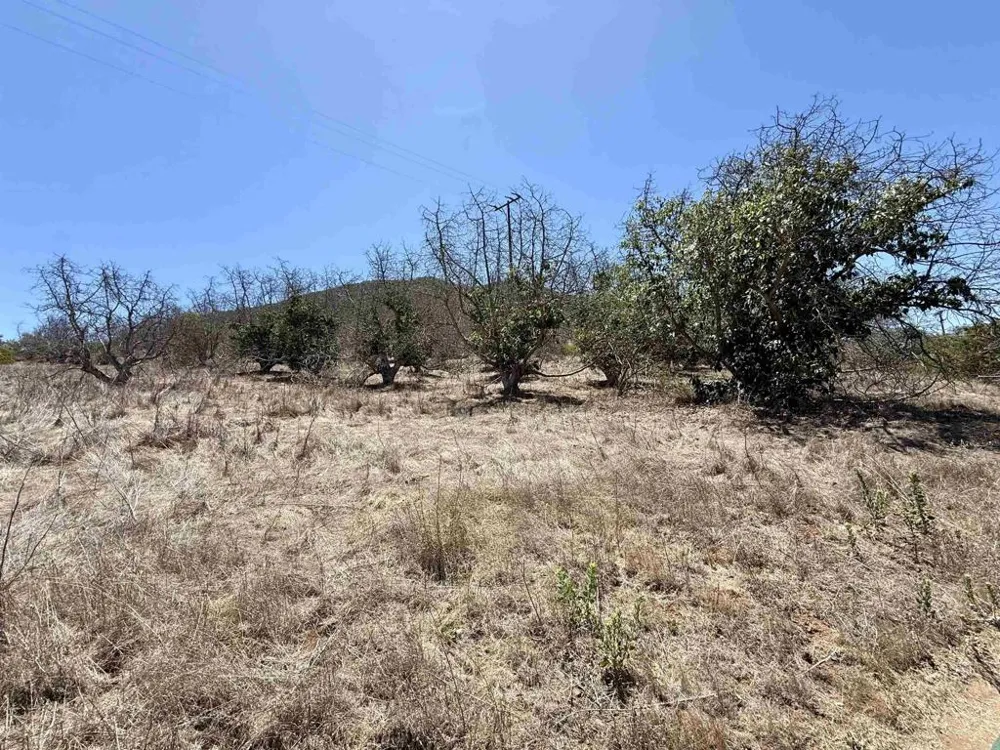 9927 Modrigan Lane Fallbrook, CA 92028