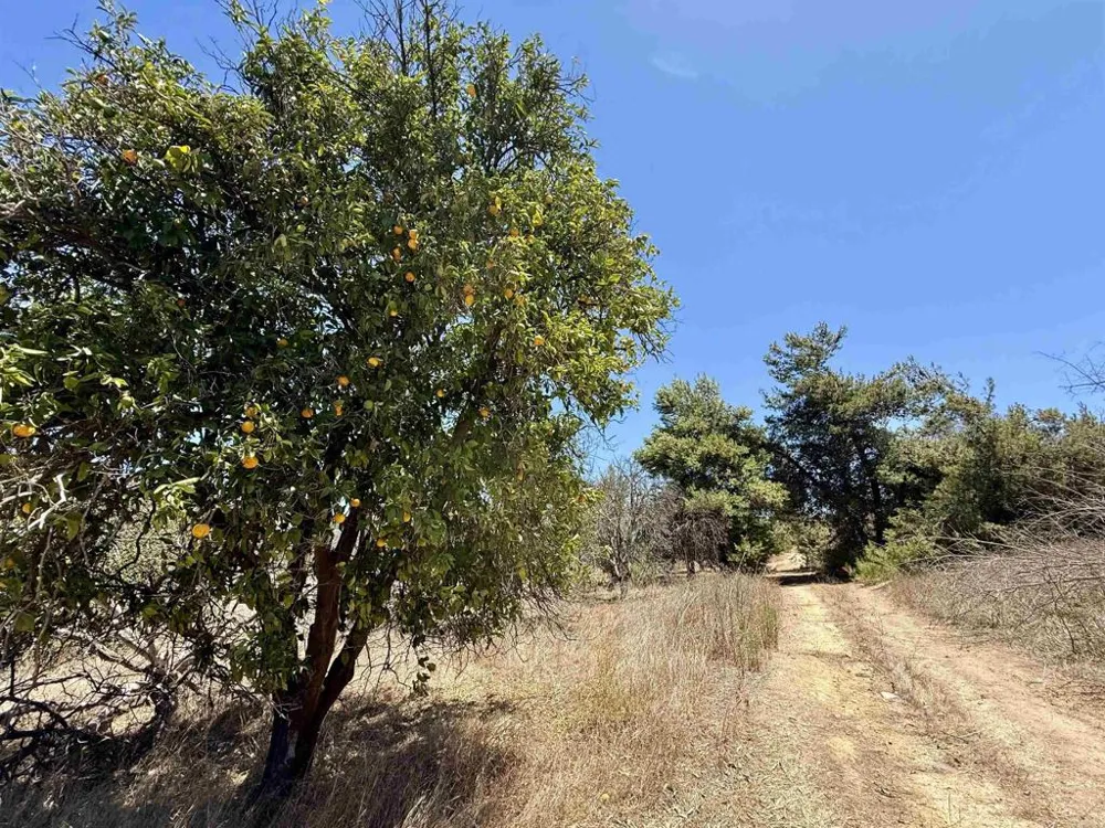 9927 Modrigan Lane Fallbrook, CA 92028