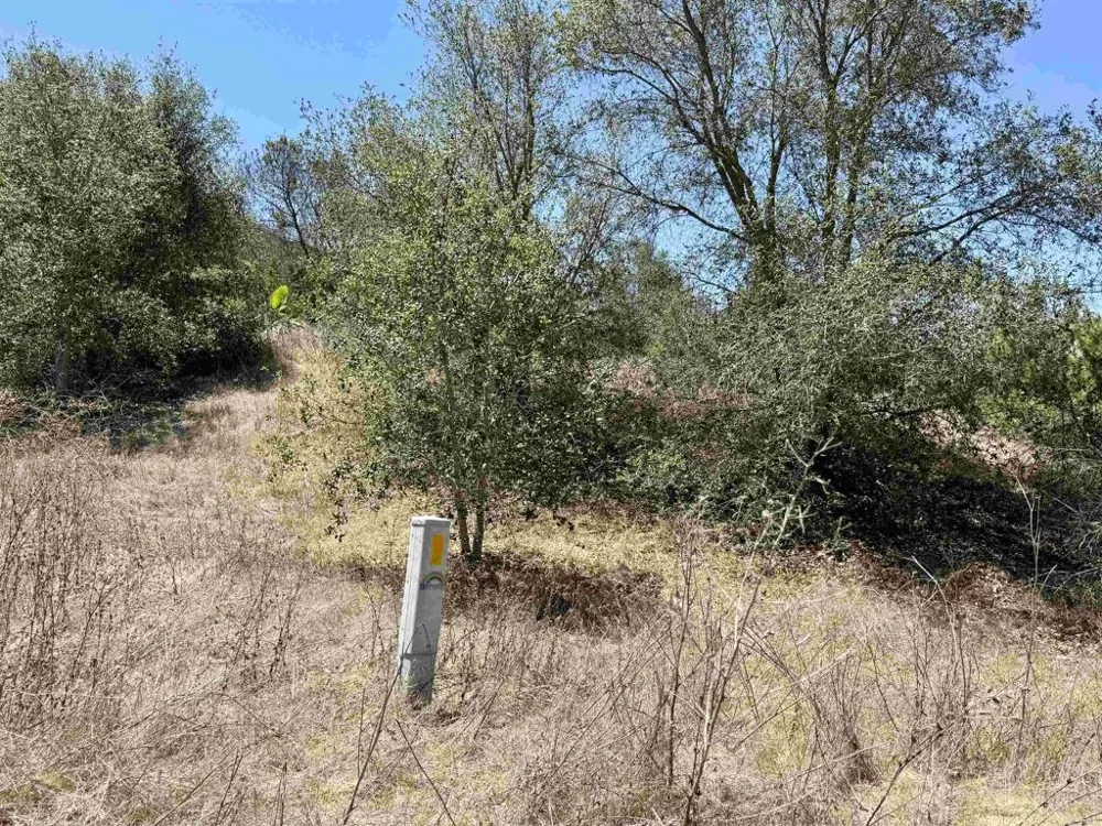 9927 Modrigan Lane Fallbrook, CA 92028