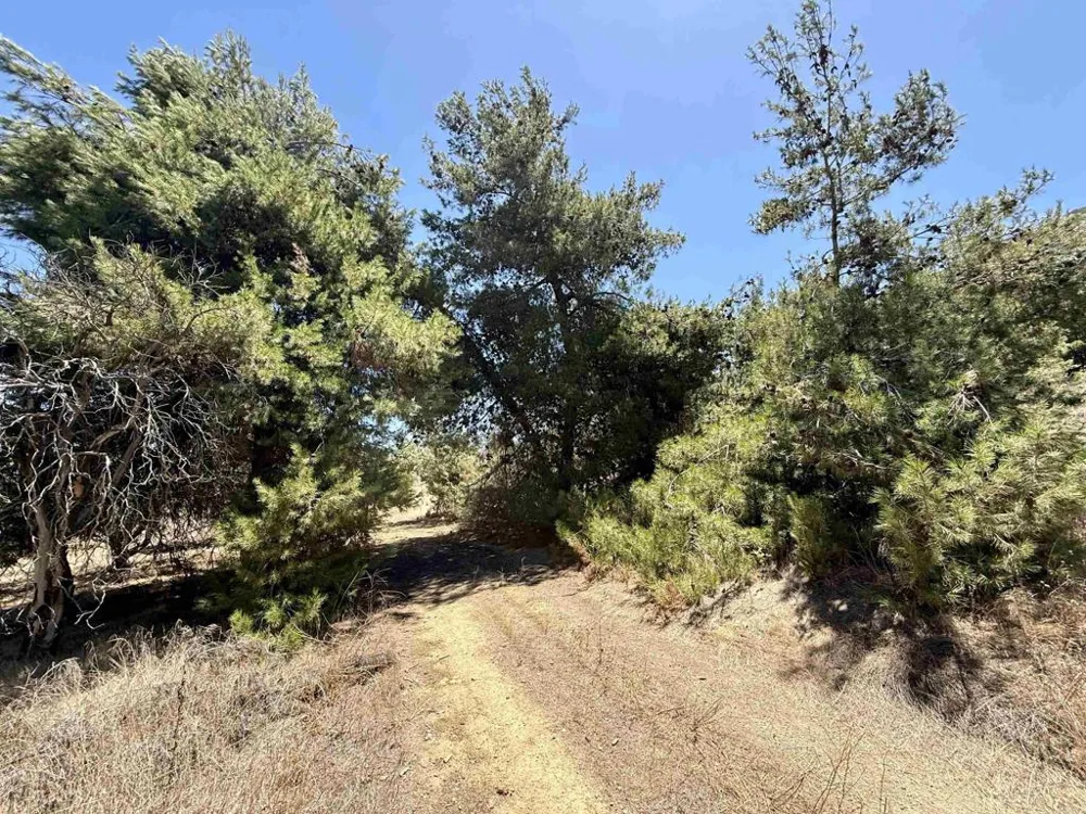 9927 Modrigan Lane Fallbrook, CA 92028