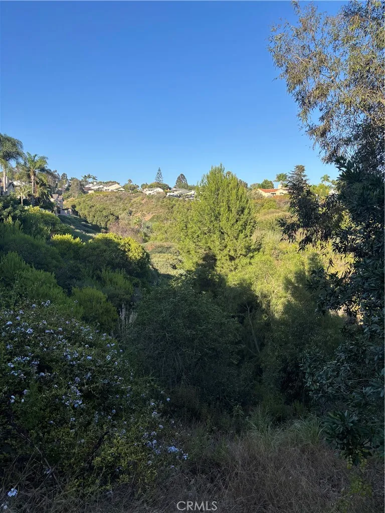 33146 Ocean #89 Dana Point, CA 92629