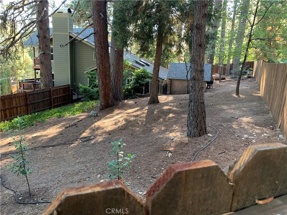 31144 All View Running Springs, CA 92382