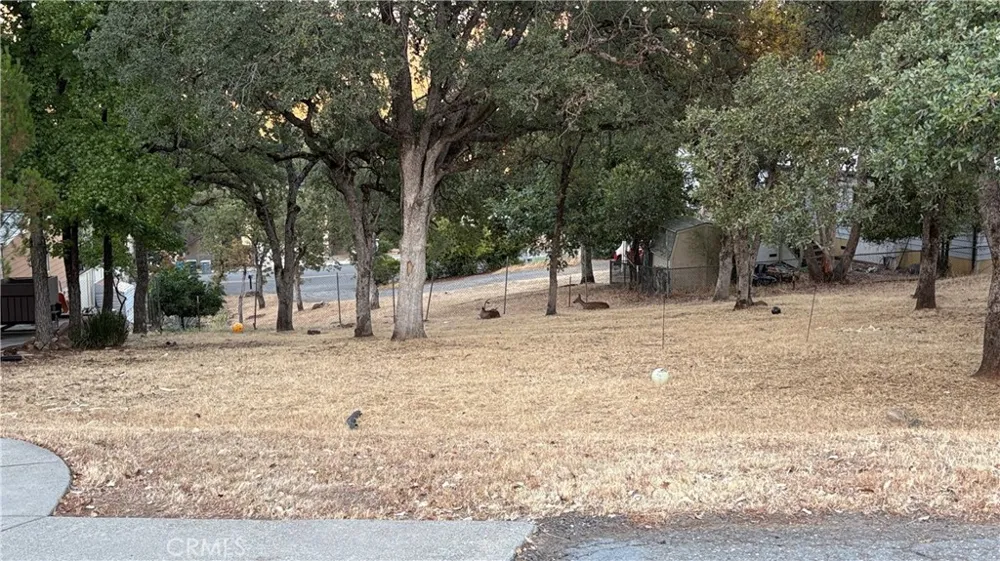 34 Coho Court Oroville, CA 95966