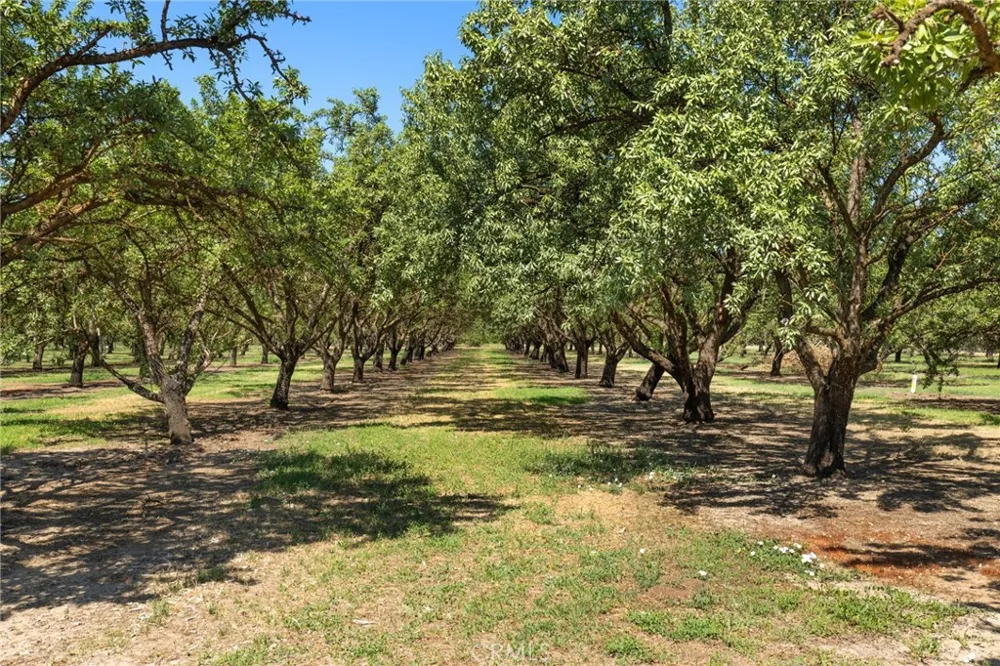 4379 Dayton West Rd. Chico, CA 95928