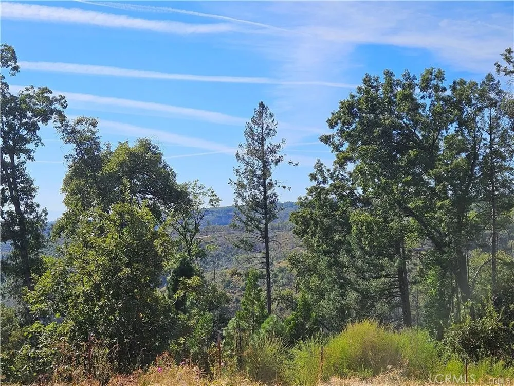 6921 Quail Paradise, CA 95969