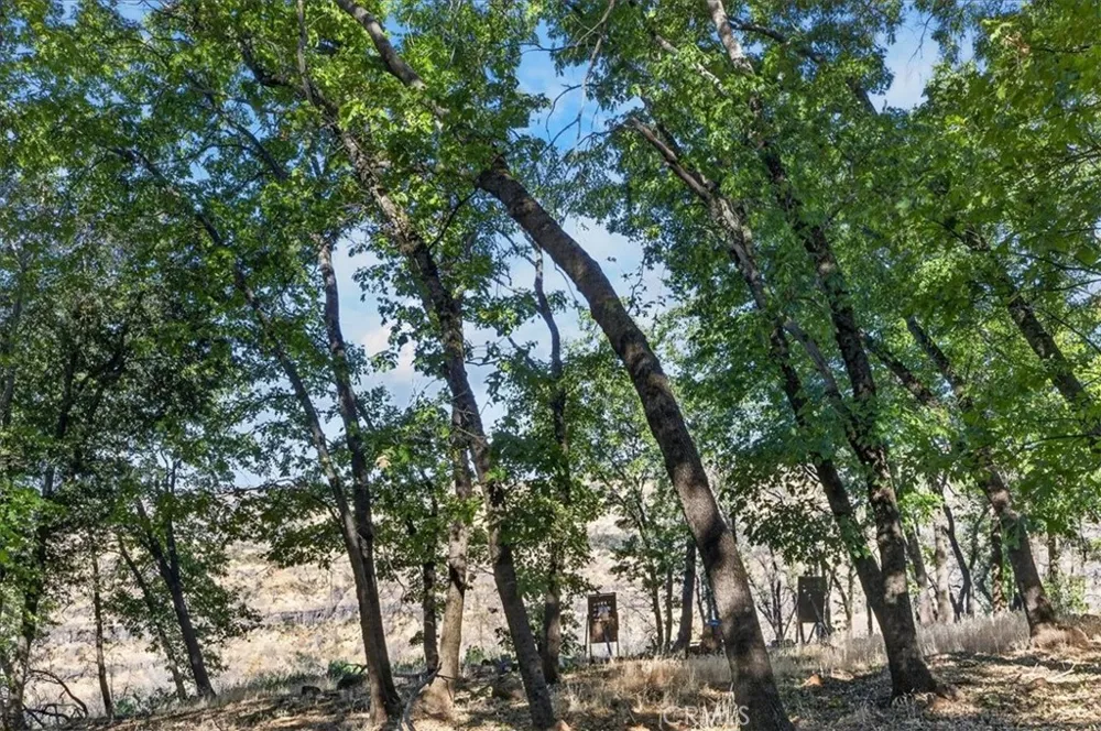 43 Dacy Cohasset, CA 95973