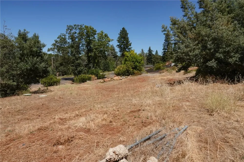 262 Rose Paradise, CA 95969