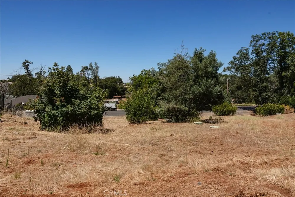 262 Rose Paradise, CA 95969