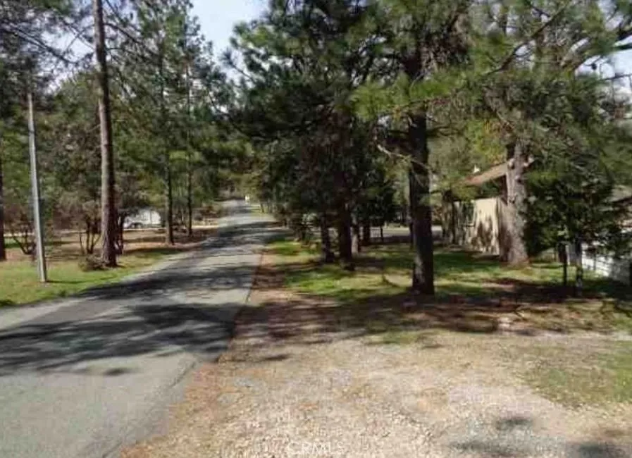 11310 Clinton Bar Pine Grove, CA 95665