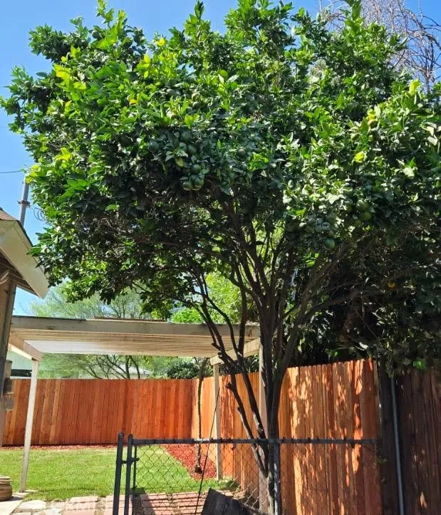 17001 Cantara Lake Balboa, CA 91406